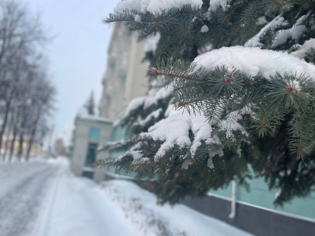 Сильный ветер и снег ожидается в Чистополе