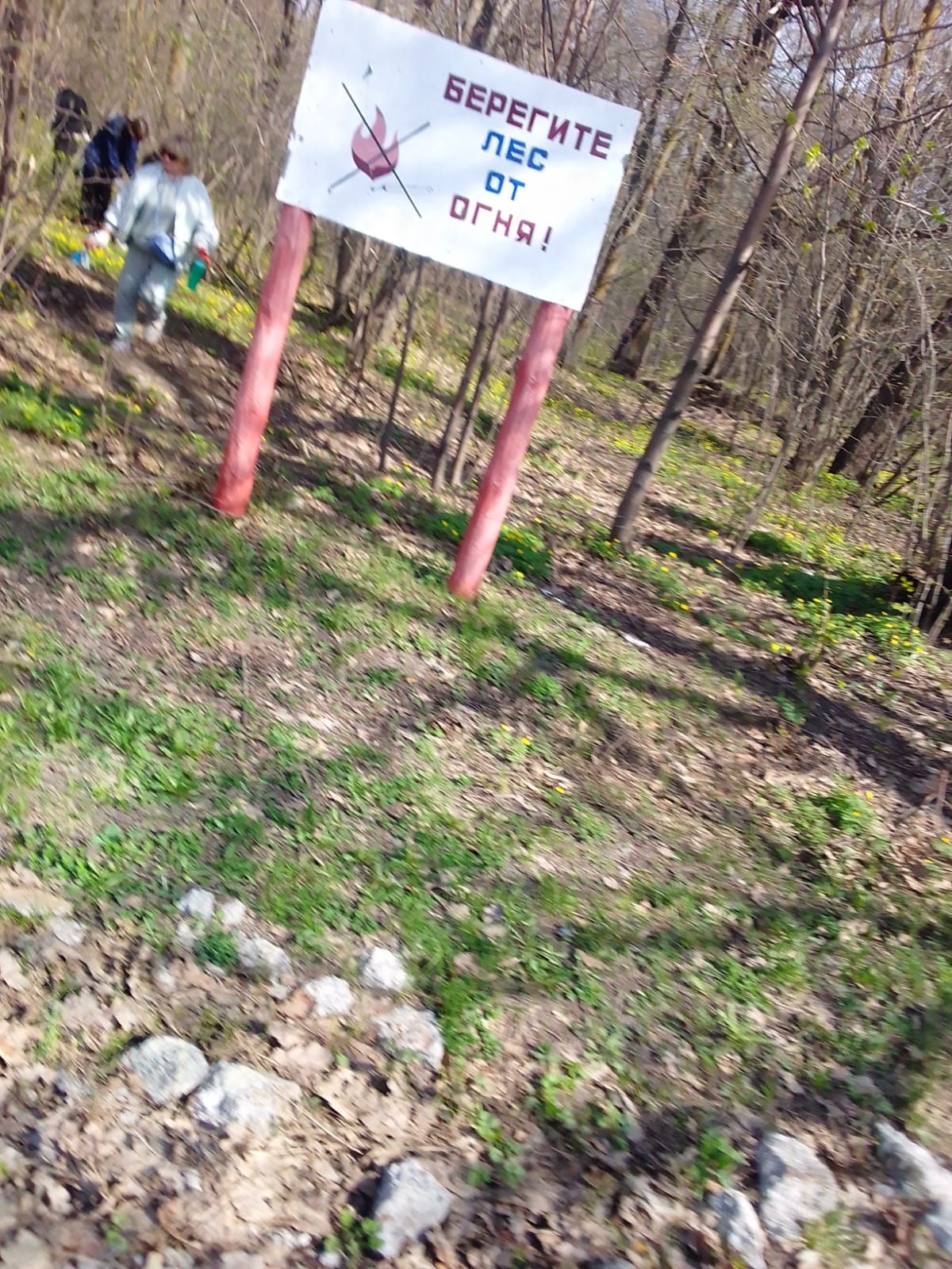 Чистопольцы участвовали в природоохранной акции «Чистые леса»