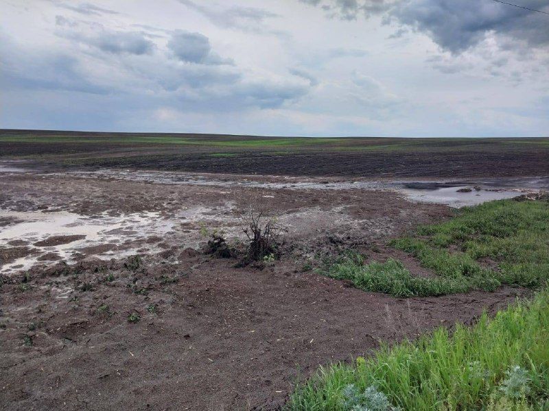 В Бугульминском районе затопило село