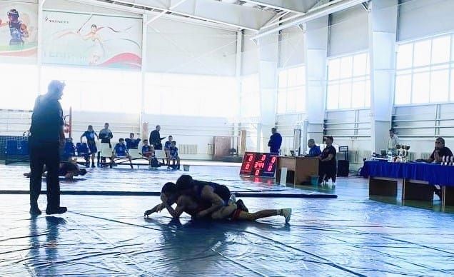 Чистопольские спортсмены успешно выступили на соревнованиях по греко-римской борьбе