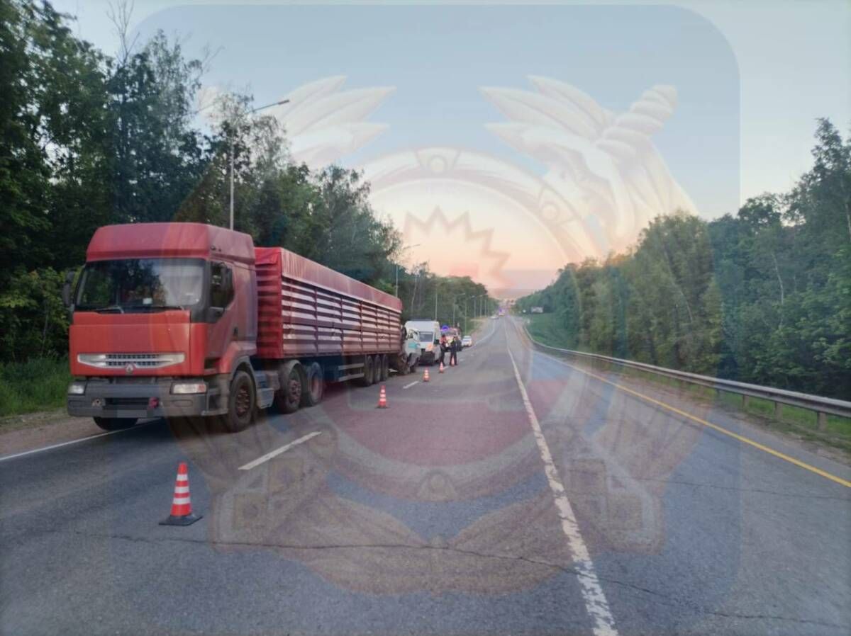 Водитель УАЗа погиб в столкновении с грузовиком Renault в Бавлинском районе