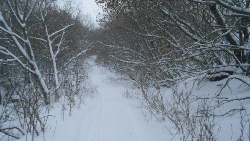Сергей Кронберг тормышка ашмаган ниятләр һәм Чистайның яшерен матурлыгы турында сөйләде