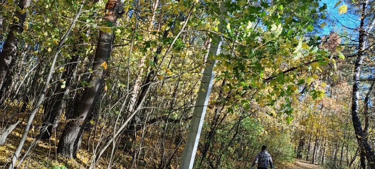 В Чистополе пройдёт общегородской субботник