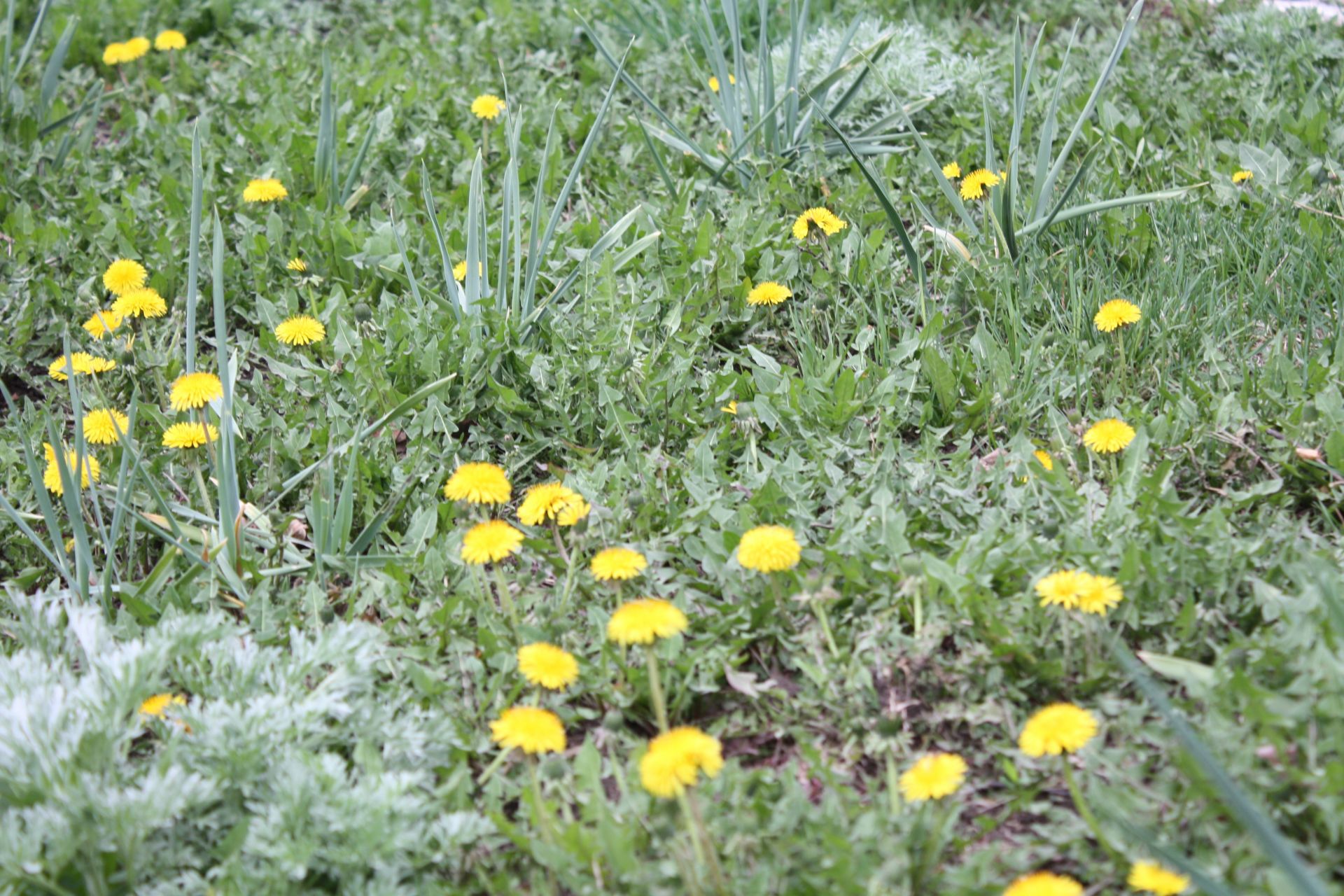 Ранняя весна в Чистополе