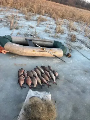 В Чистопольском районе мужчина попался на незаконном вылове рыбы на реке Шешма