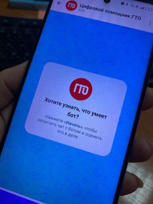 Актуальную информацию о движении ГТО можно получить в чат-боте в Максе
