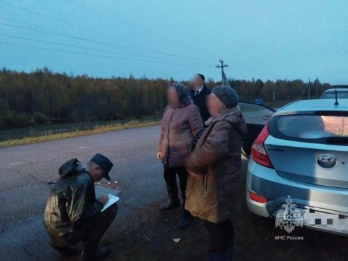Трех заблудившихся в лесу грибников спасатели нашли в Нурлатском районе