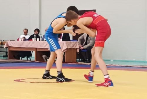 Чистопольские борцы привезли серебро с соревнований в Альметьевске