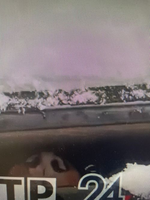 Житель Нижнекамска снял на видео запертую в автомобиле собаку