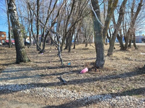 В преддверии двухмесячника по саночистке и благоустройству корреспондент ЧИ проинспектировал состояние городских улиц