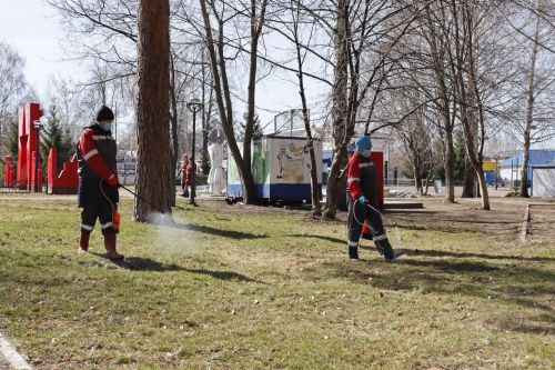 В Чистополе Скарятинский сад обработали от клещей