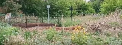 Прокуратура Чистополя начала проверку инцидента с обнаружением биологических отходов на кладбище