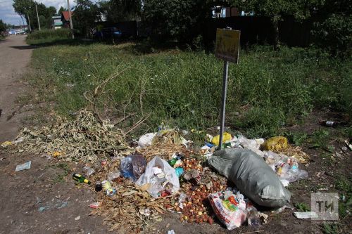 В РТ с начала санитарно-экологического двухмесячника выявлено более 6 тысяч нарушений