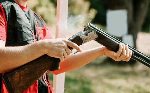 В РТ хотят разрешить охотиться на бакланов