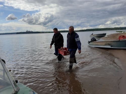 Рыбный стан прошел проверку