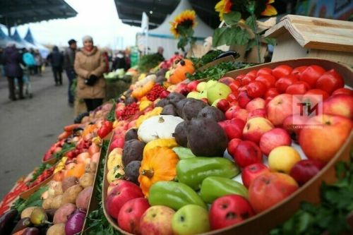 Завтра в РТ стартуют сельхозярмарки