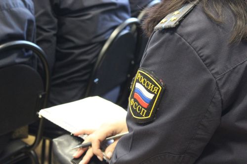 Чистопольцы неохотно пользуются электронными сервисами