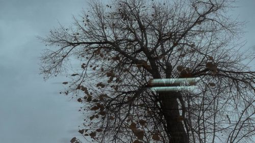 В пятницу в Татарстане прогнозируют сильный ветер