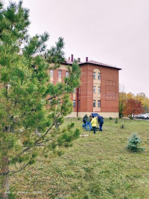 «Сохраним лес»: сотрудники Чистопольской ЦРБ приняли участие во Всероссийской акции