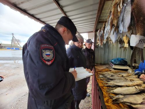 В Чистопольском районе проверили одну из точек продажи рыбной продукции