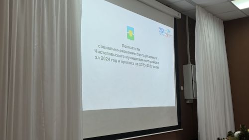 Чистопольские предприниматели и руководители предприятий приняли участие в акции «Елка желаний»