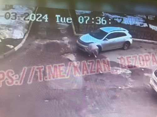 В Казани легковушка сбила подростка, которая остановилась на дороге завязать шнурки (видео)