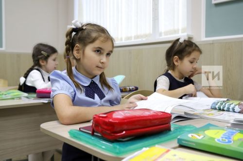 Татарстанцы могут помочь школьникам Курской области