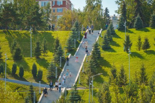 Профилактика сердечно-сосудистых заболеваний