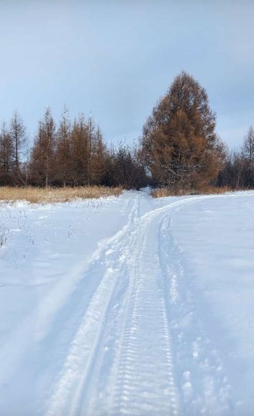Гидрометцентр РТ предупреждает о возможном возвращении холодов