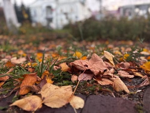 В Татарстане прогнозируют ночные заморозки