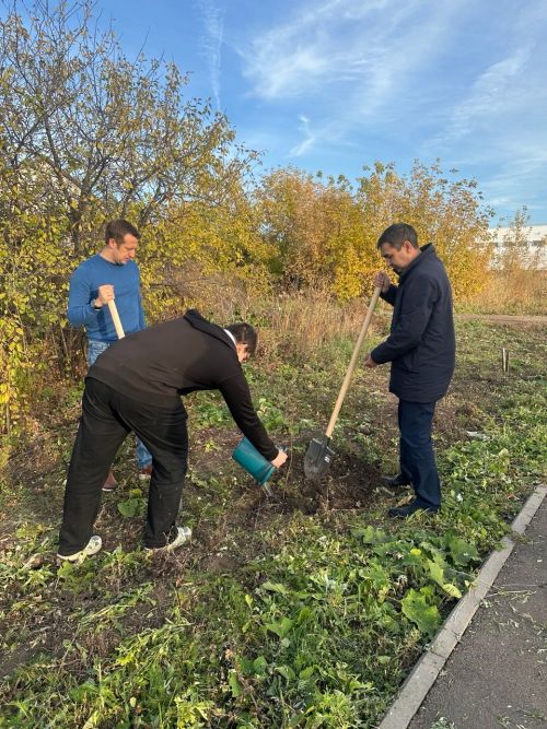 В Чистополе в рамках акции «Сохраним лес» высажены десятки саженцев сосны и рябины