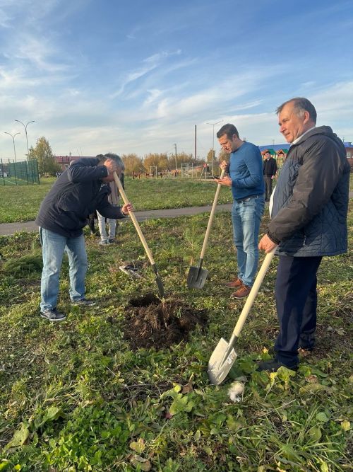 В Чистополе в рамках акции «Сохраним лес» высажены десятки саженцев сосны и рябины