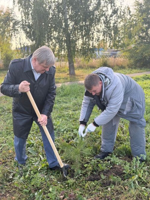 В Чистополе в рамках акции «Сохраним лес» высажены десятки саженцев сосны и рябины