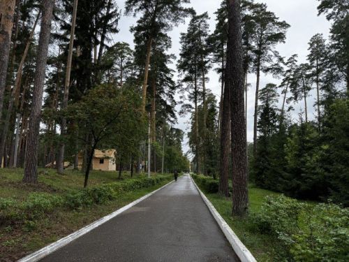 Бесплатное санаторно-курортное лечение в Татарстане: кому положены путёвки