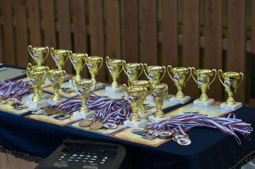В Чистополе прошло Первенство по греко-римской борьбе на призы Деда Мороза