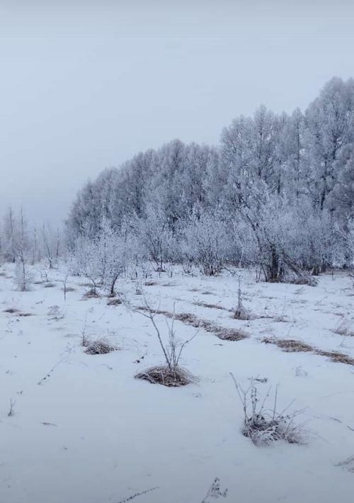 Снег и до 8 градусов мороза ожидается в Чистополе