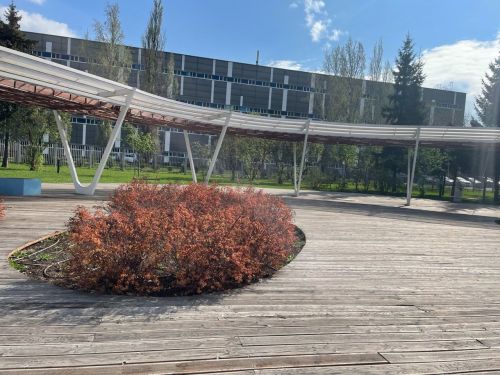 Дожди и потепление до 14 градусов тепла: какая погода ждет татарстанцев в начале следующей недели