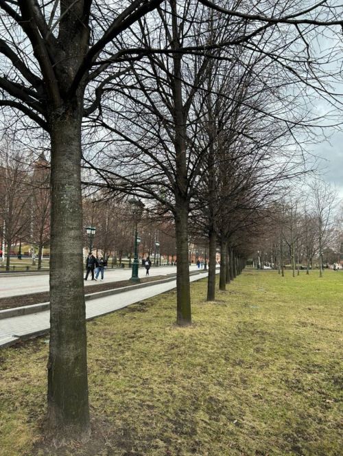 Аномально теплая погода в Татарстане: до +16°C в последний день марта