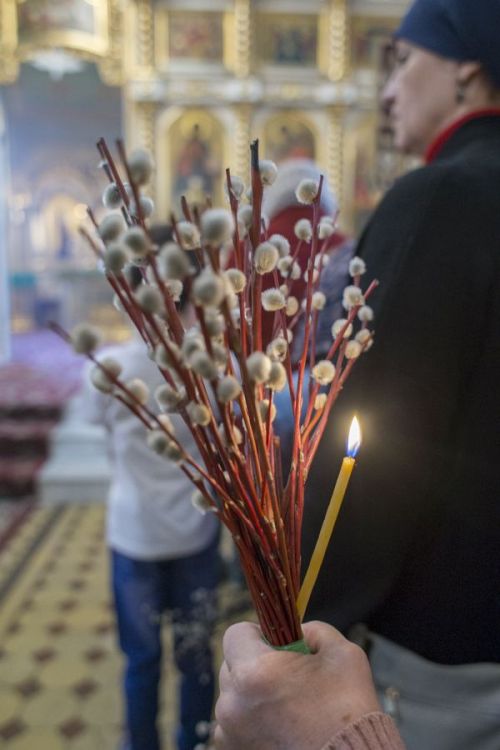 Вербное воскресенье – начало пути к Пасхе