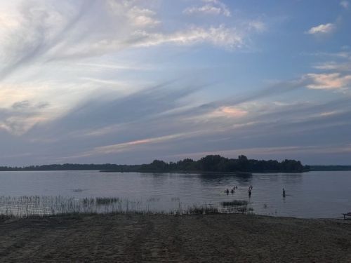 Опасность цветущей воды: чем грозит купание в водоемах с сине-зелеными водорослями