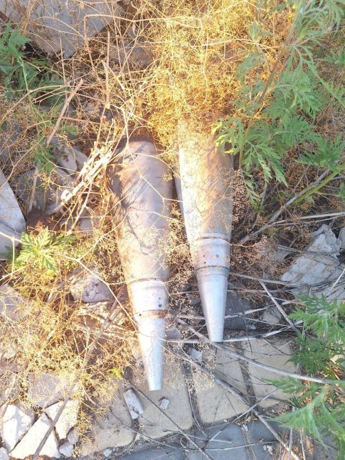 Чулпан Сулейманова рассказала о своей поездке в Северодонецк
