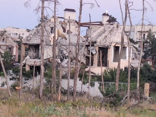 Чулпан Сулейманова рассказала о своей поездке в Северодонецк