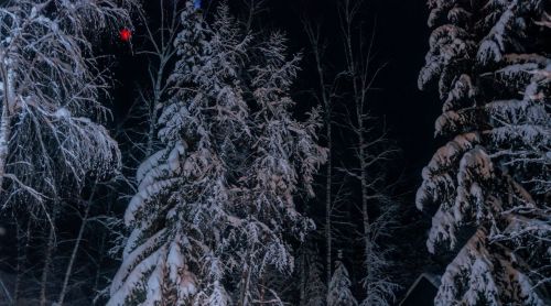 Аляска: кусочек России в Америке