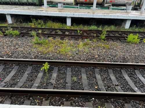 Под колесами пригородного поезда в Казани погибла женщина