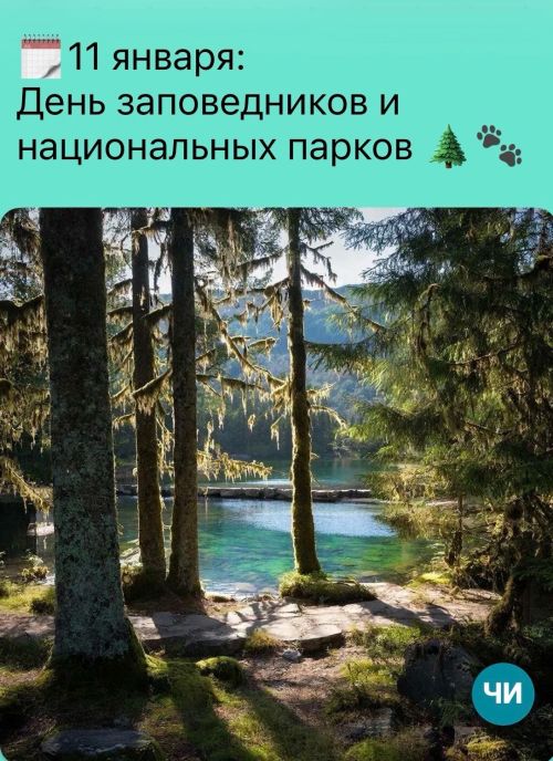 11 января: День заповедников и национальных парков