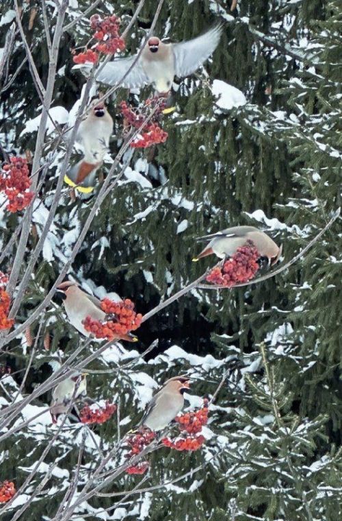 МЧС напомнило татарстанцам о мерах безопасности в надвигающиеся морозы