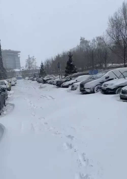Какие машины нельзя оставлять во дворах жилых домов