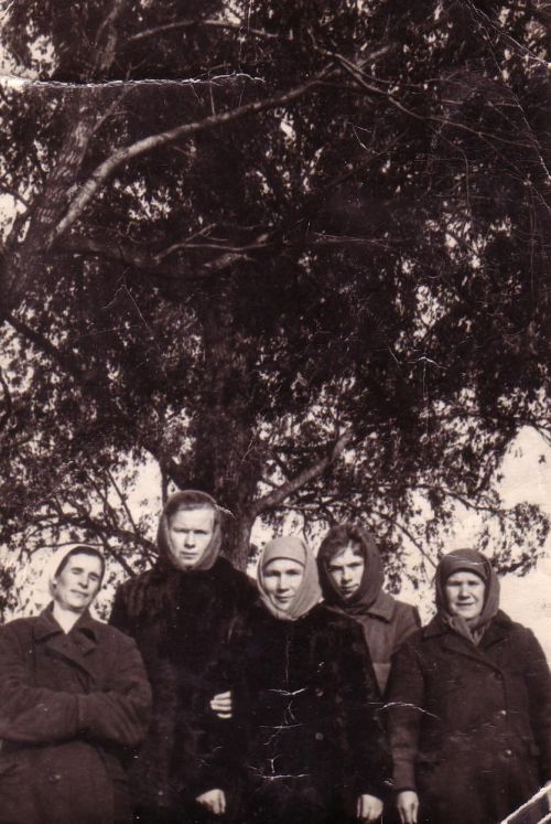 Родословная земли Предтечинской: хроника исчезнувшей деревни. Часть 4
