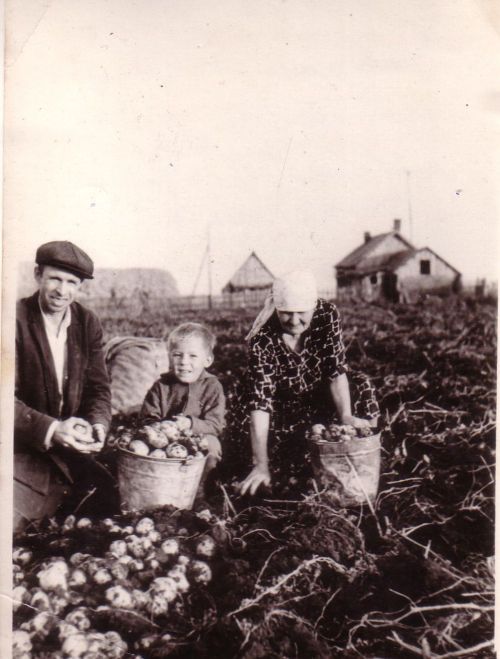 Родословная земли Предтечинской: хроника исчезнувшей деревни. Часть 4