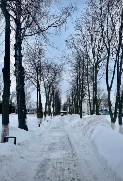Арктический антициклон идет в Татарстан: температура упадет до 14 градусов мороза